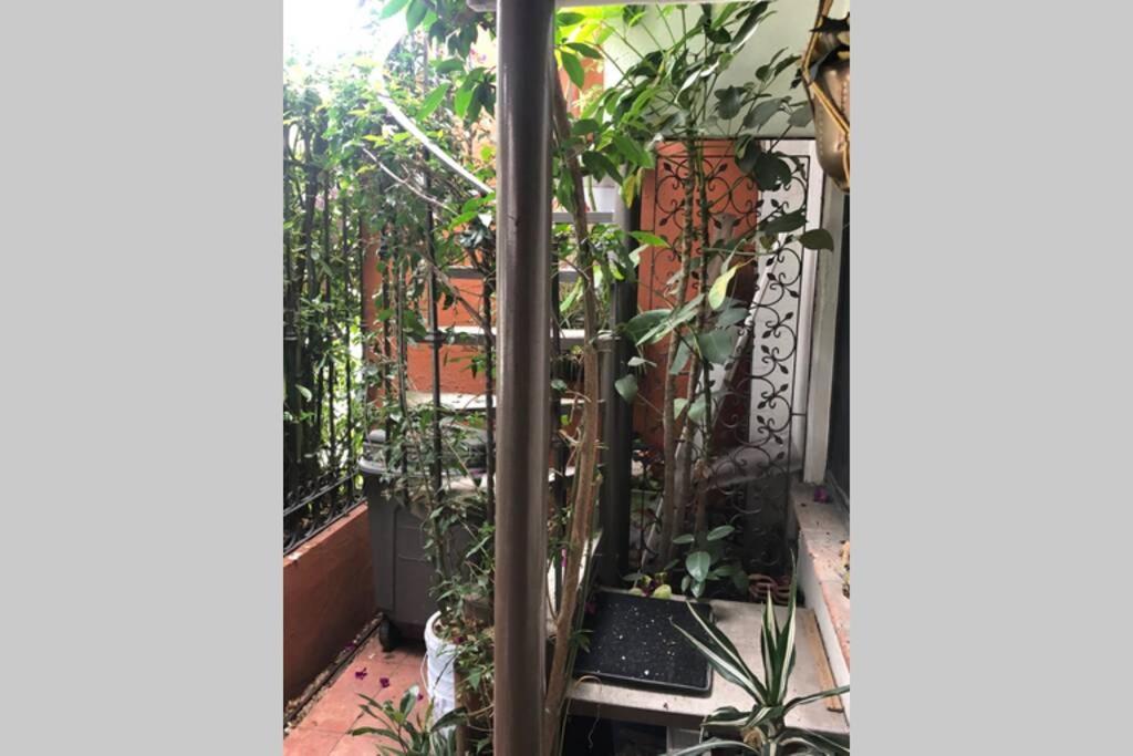 Amplia Habitacion Tipo Ejecutiva Con Bano Y Acceso Privados Toluca Extérieur photo
