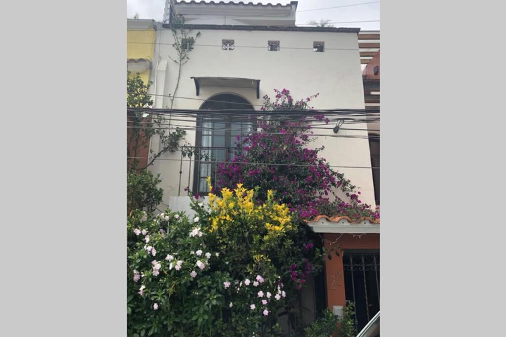 Amplia Habitacion Tipo Ejecutiva Con Bano Y Acceso Privados Toluca Extérieur photo